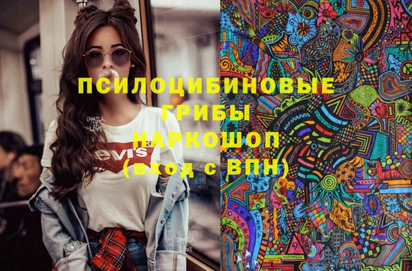 хмурый Михайловск