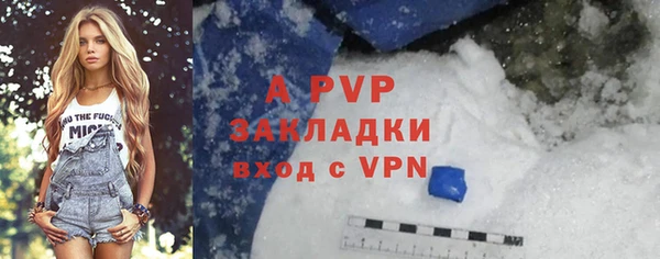 хмурый Михайловск
