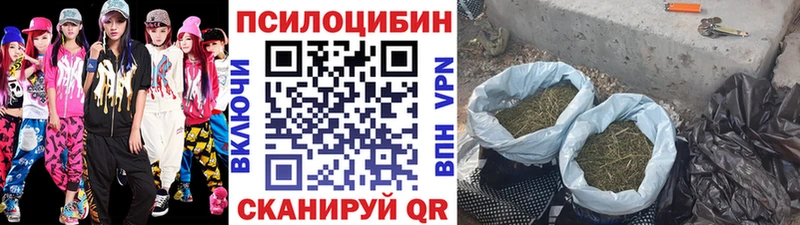 Купить  Тюкалинск  Галлюциногенные грибы Magic Shrooms 